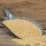 Barnyard Millet (Jhangora Rice)